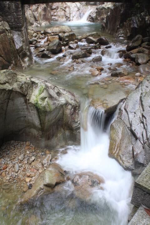 荒岛枪训