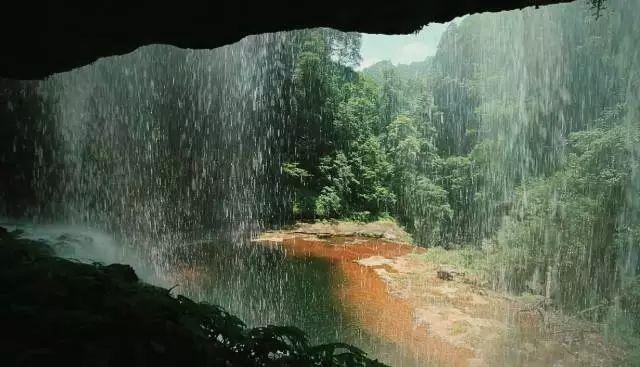 淘气兔救援